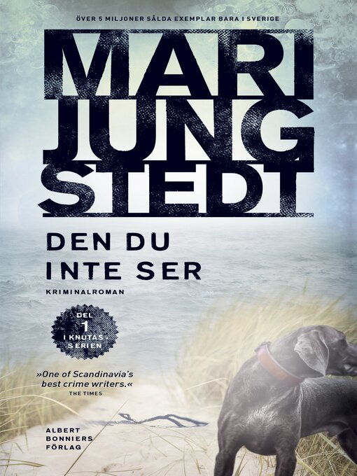 Titeldetaljer för Den du inte ser av Mari Jungstedt - Tillgänglig